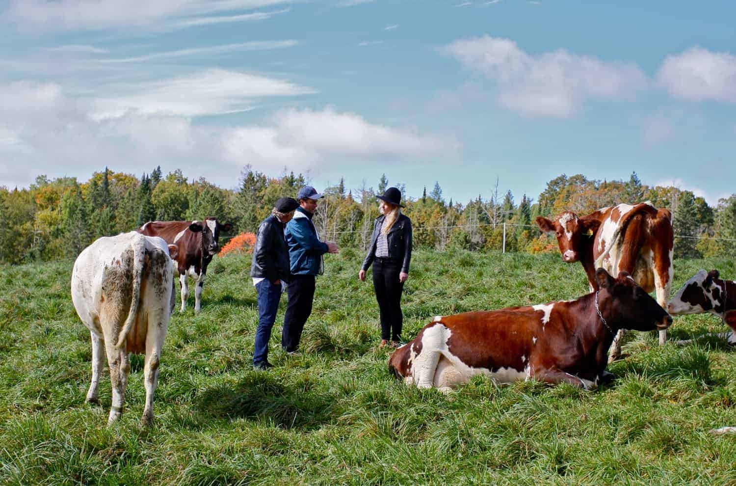 Usa Artisan Cheese Will Studd Jasper Hill Farm Ellie Studd