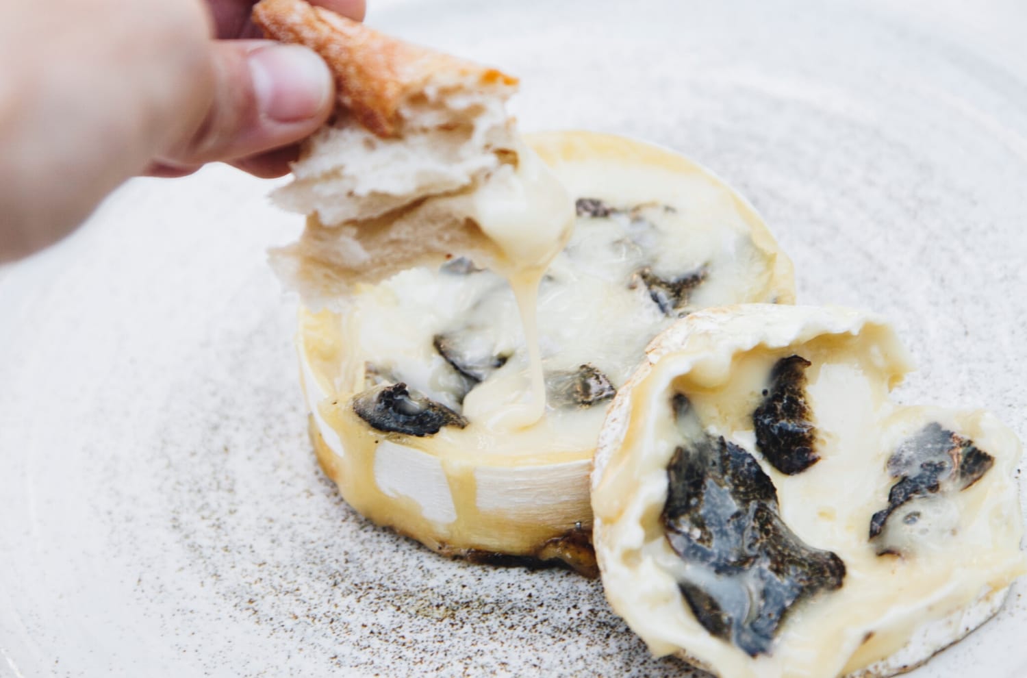 le-conquerant-camembert-truffle-recipe selected by will studd