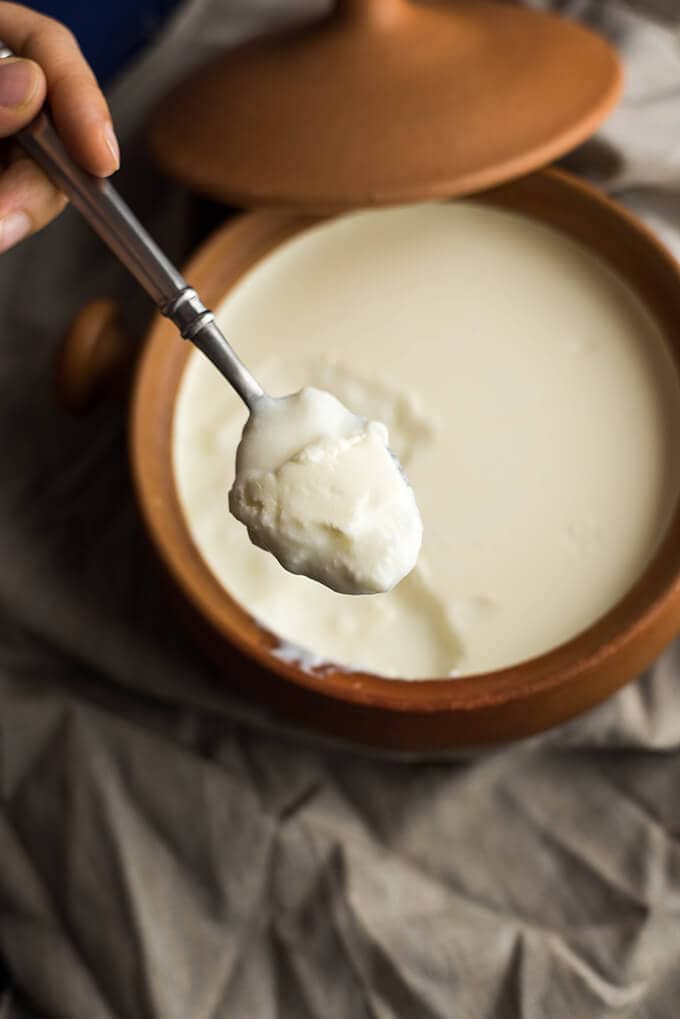 Homemade Yogurt will Studd