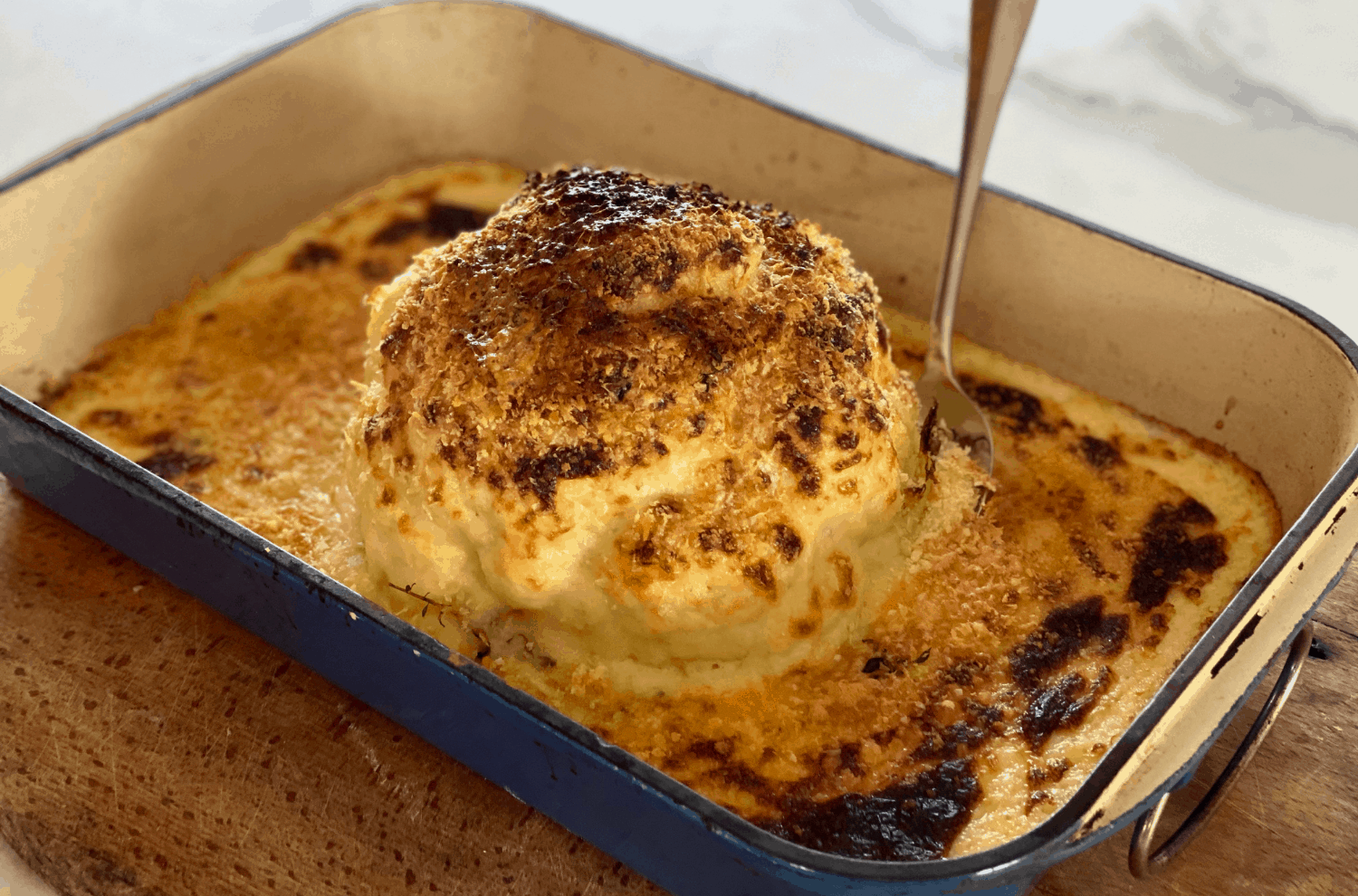 Studd-Sibling-Cauliflower-Cheese