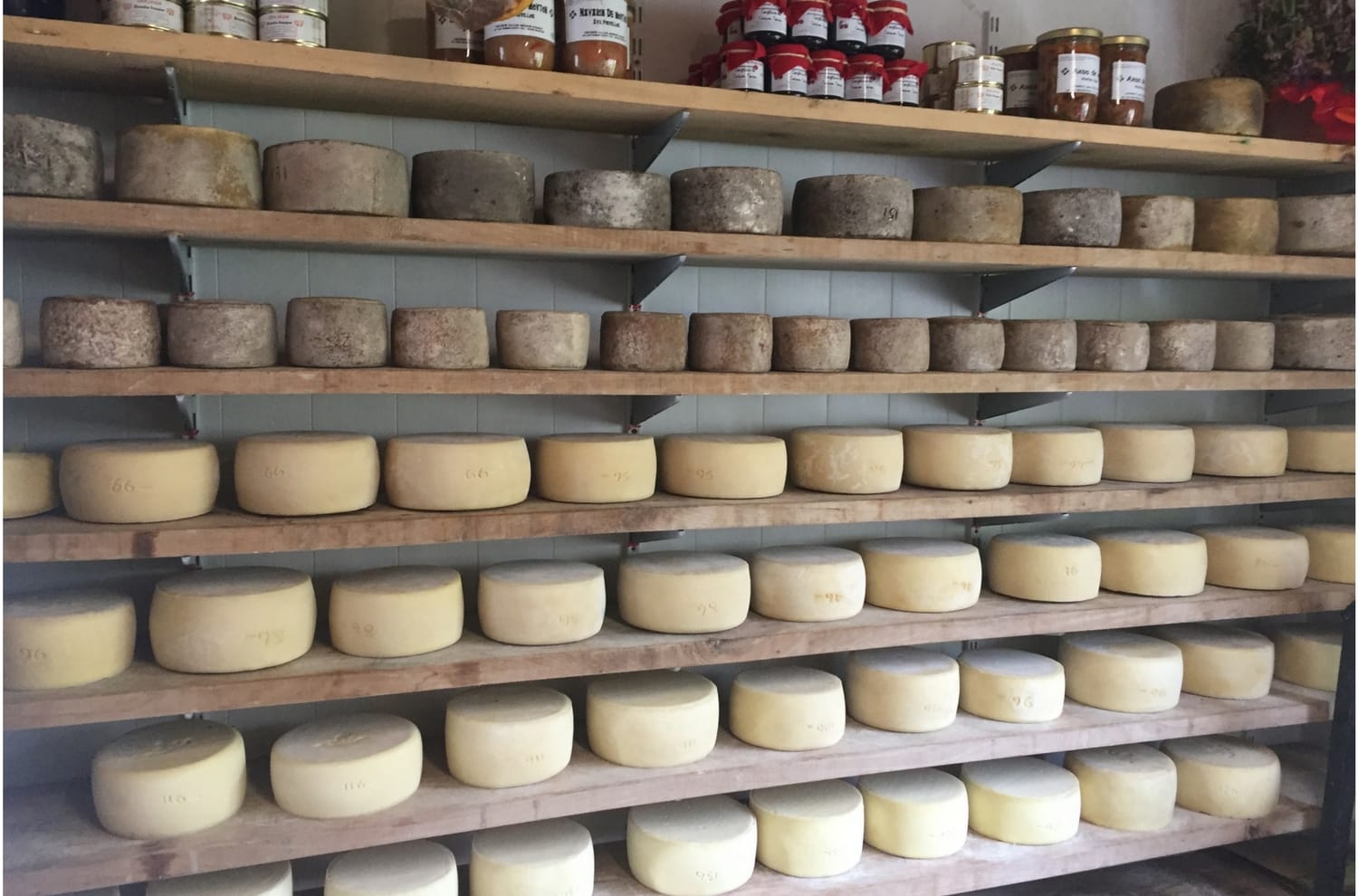 Pyrenees cheese on shelf Will Studd