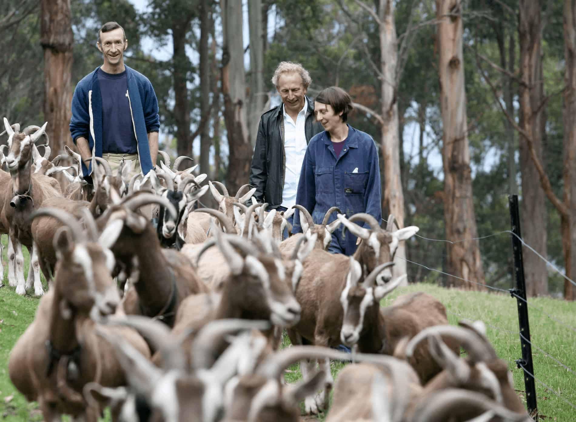 Australia Australian Cheesemakers Will Studd
